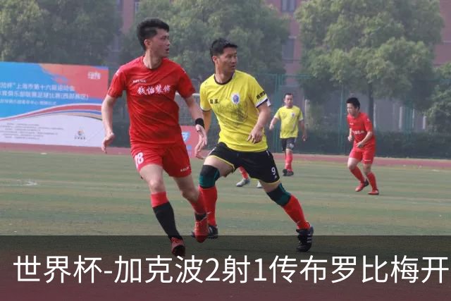 世界杯-加克波2射1传布罗比梅开二度 荷兰5-1大胜瑞典